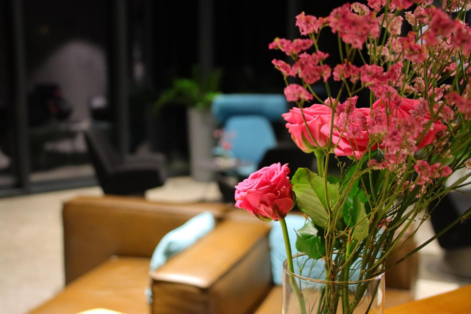 Hotel Soca 보베츠 외부 사진